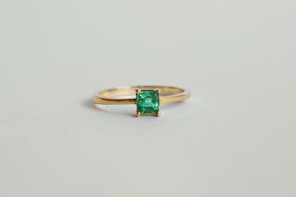 ANILLO CORA