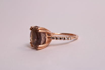 ANILLO LAVA